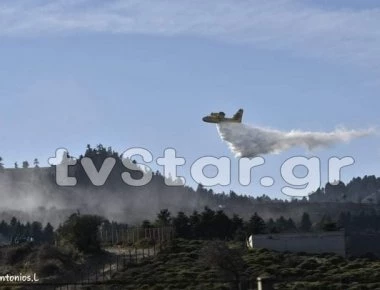 Καιγόμαστε και το Νοέμβριο: Μεγάλη πυρκαγιά σε δάσος με έλατα στην Εύβοια!